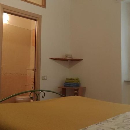 Cisanello Guesthouse 피사 외부 사진